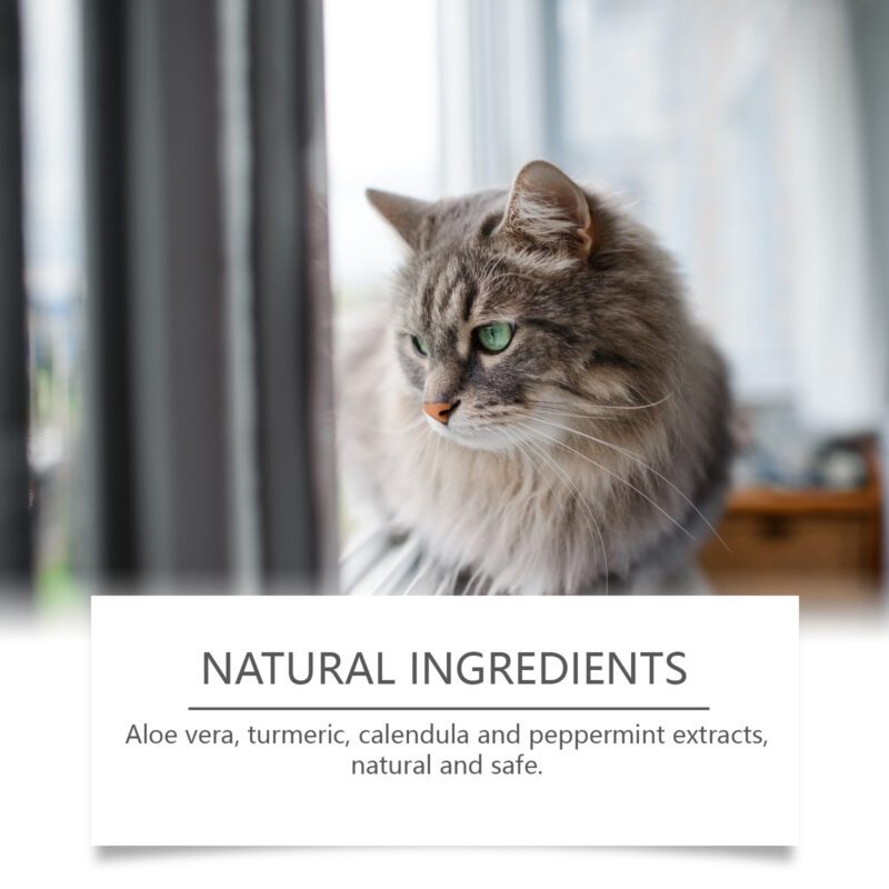Yegbong Pet Body Care Spray: Soothes Skin Discomfort with Gentle Mild Ingredients - Image 3
