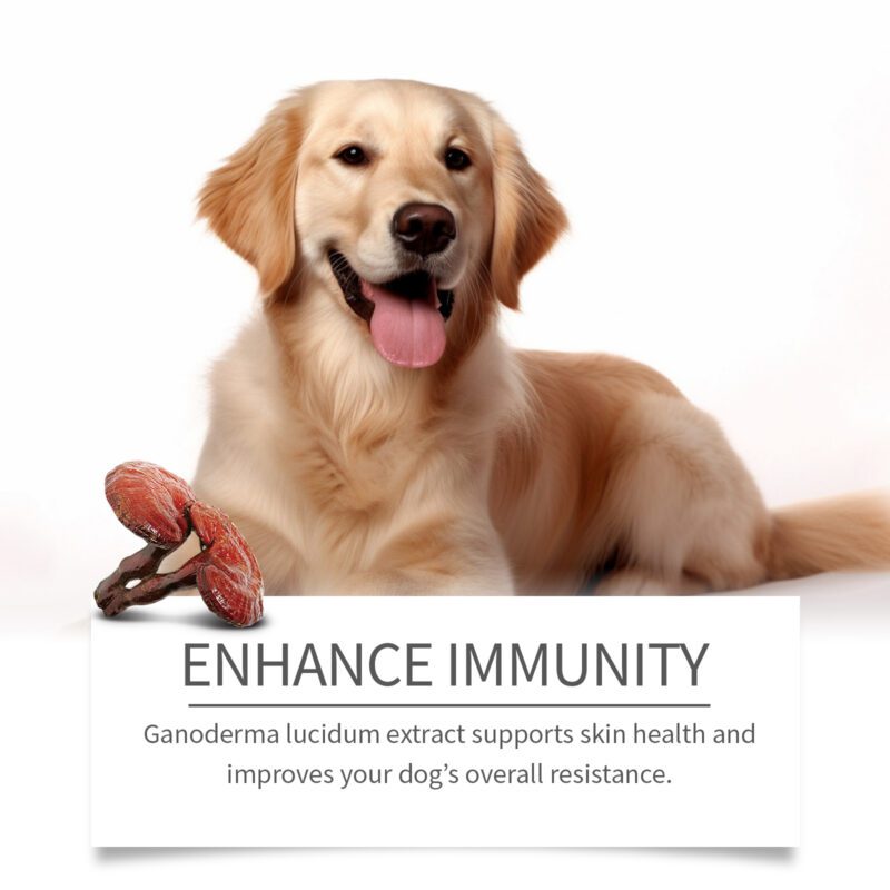 Yegbong Gentle Herbal Dog Skin Cleansing Cream - Soothing Natural Formula - Image 4