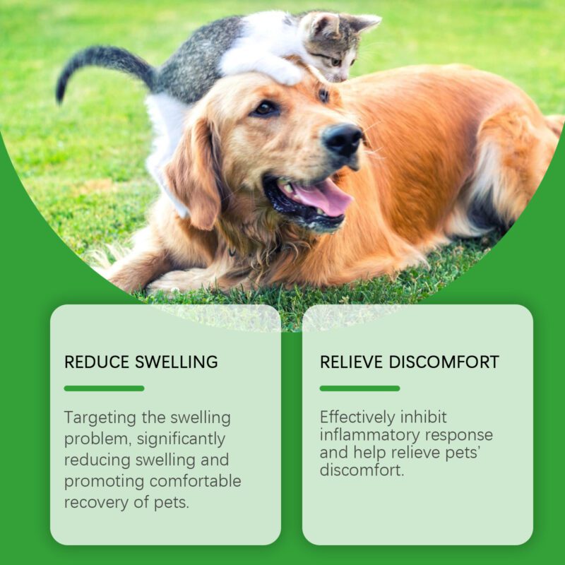 Yegbong Soothing Skin Spray for Cats & Dogs - Itch Relief & Comfort - Image 3