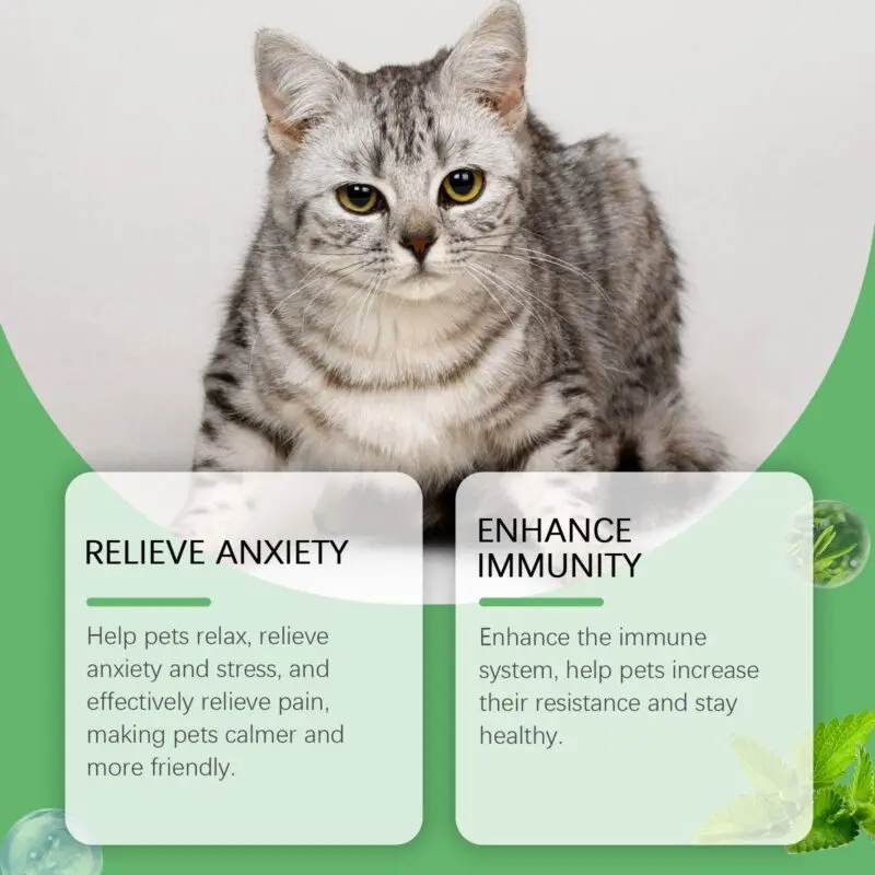 Yegbong Pet Relief Nutritional Drops for Dogs and Cats - Premium Supplement - Image 3