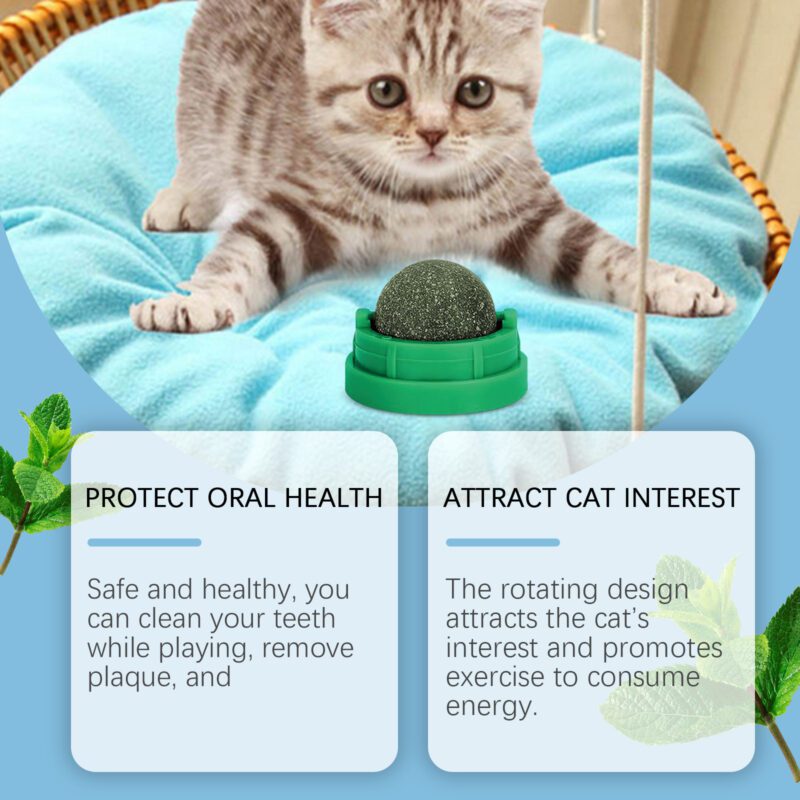 Yegbong Mint-Flavored Interactive Rotating Cat Ball Toy with Catnip for Cats and Kittens - Image 4