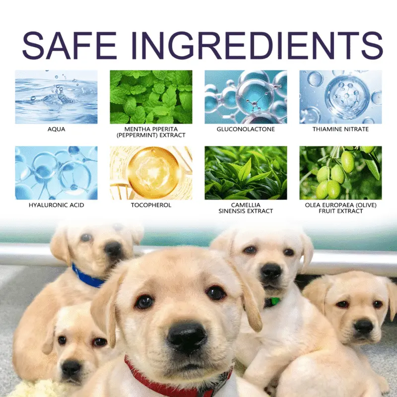 Yegbong Anti-Chewing Bitter Spray for Dogs & Pets - Deter Chewing and Scratching - Image 5