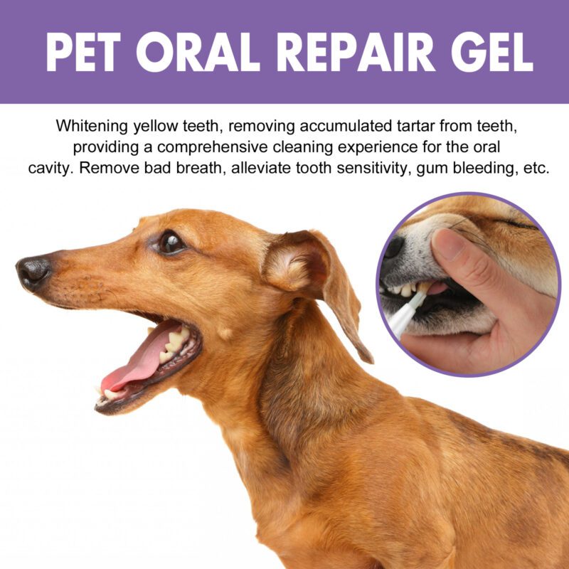 Yegbong Pet Oral Care Gel for Dogs & Cats - Cleans Teeth Stains, Freshens Breath, Supports Oral Hygiene (1pc) - Image 3