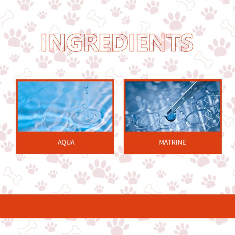 Yegbong Pet Anti-Chew and Scratch Spray - Training Aid for Dogs and Cats - Image 5