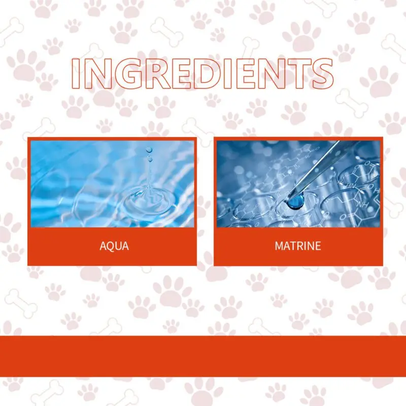 Yegbong Pet Anti-Chew and Scratch Spray - Training Aid for Dogs and Cats - Image 5