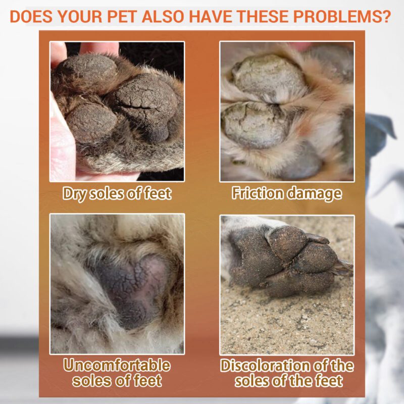 Yegbong Pet Paw Balm for Cats & Dogs - Moisturizing Treatment for Dry Cracked Pads - Image 4
