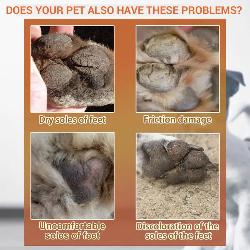 Yegbong Pet Paw Balm for Cats & Dogs - Moisturizing Treatment for Dry Cracked Pads - Image 4