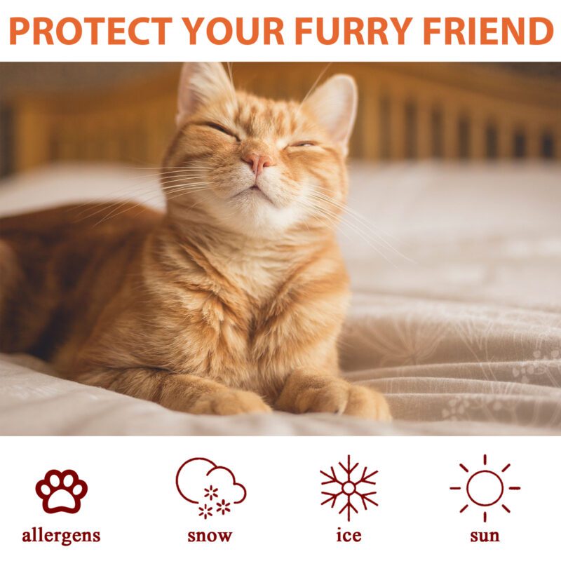 Yegbong Pet Paw Balm for Cats & Dogs - Moisturizing Treatment for Dry Cracked Pads - Image 3