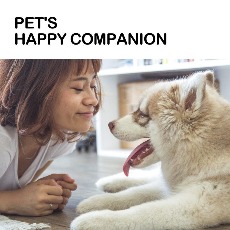Yegbong Pet Joint & Muscle Pain Relief Essential Oil - Soothe Aches - Image 3