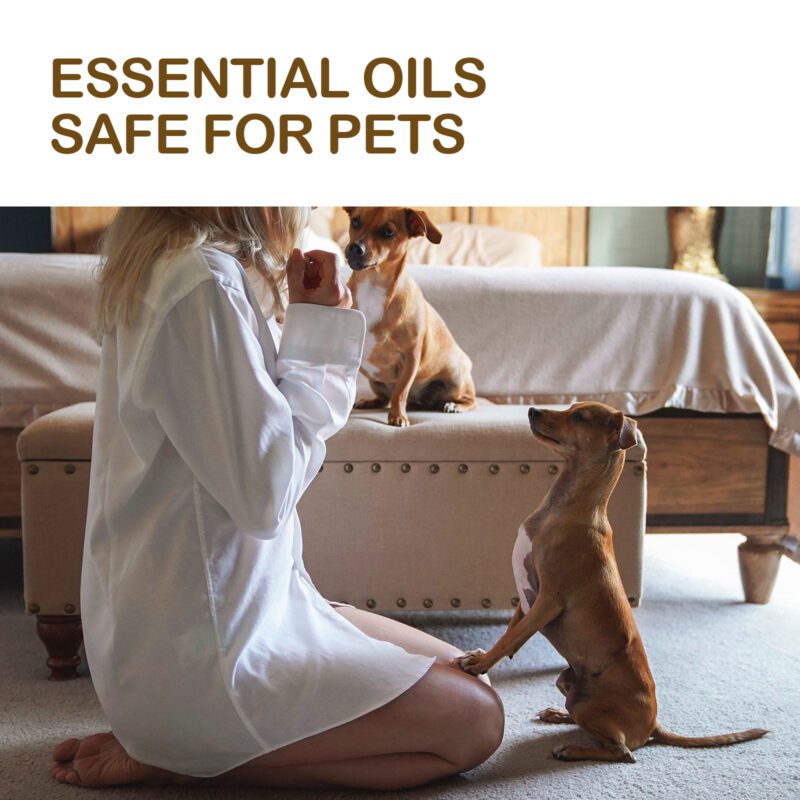 Yegbong Pet Joint & Muscle Pain Relief Essential Oil - Soothe Aches - Image 4