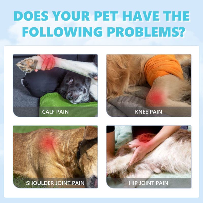 Yegbong Pet Glucosamine Drops for Cats and Dogs - Joint Support - Image 3