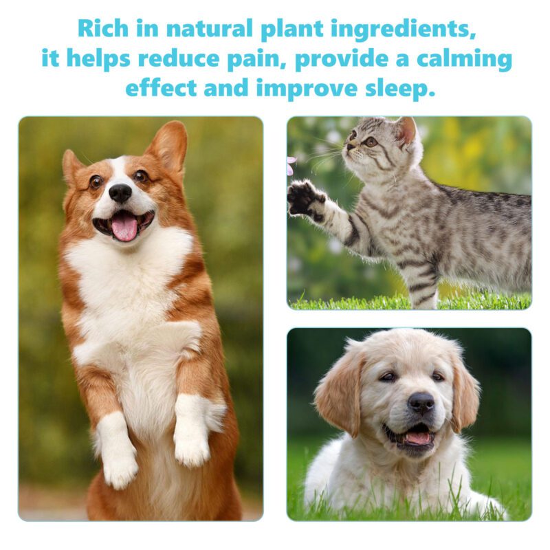 Yegbong Pet Glucosamine Drops for Cats and Dogs - Joint Support - Image 4