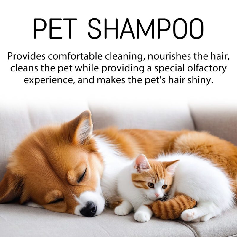 Yegbong Gentle Pet Shampoo for Cats & Dogs - Silky Smooth, Tangle-Free Fur (100g) - Image 4