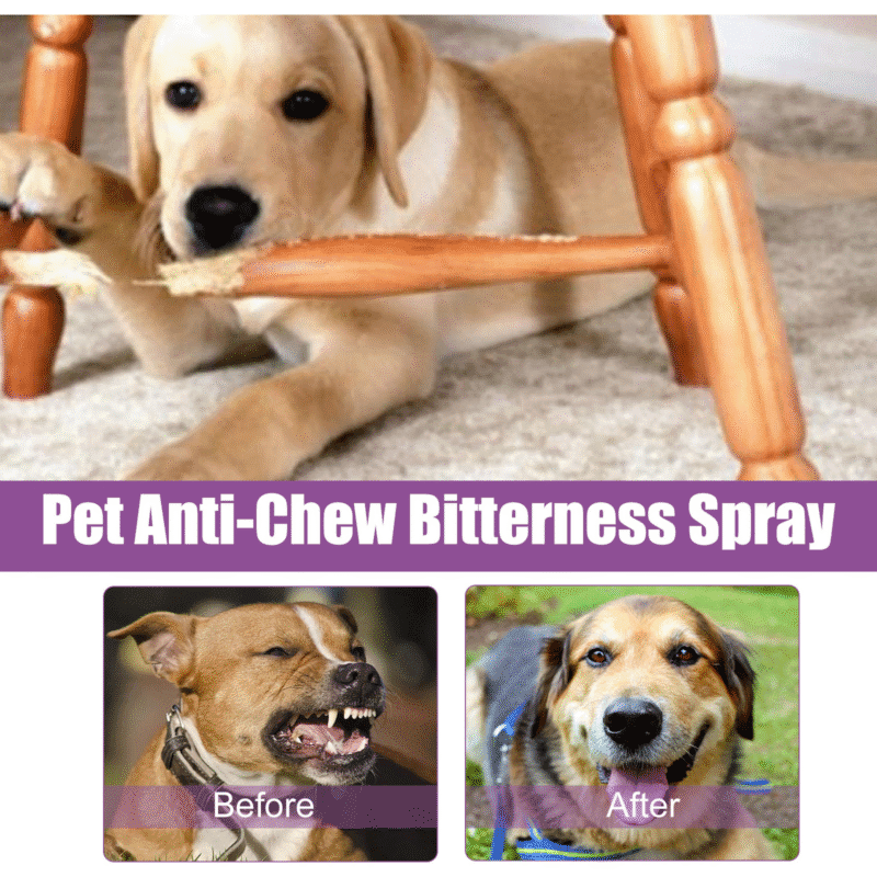 Yegbong Pet Calming Spray - Reduce Stress, Anxiety, Barking - Image 4