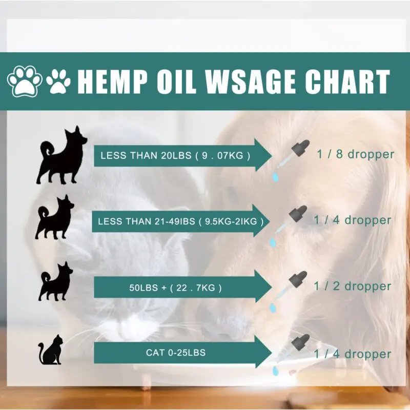 Yegbong Premium Hemp Seed Oil for Cats & Dogs - Calming Wellness Supplement - Image 4