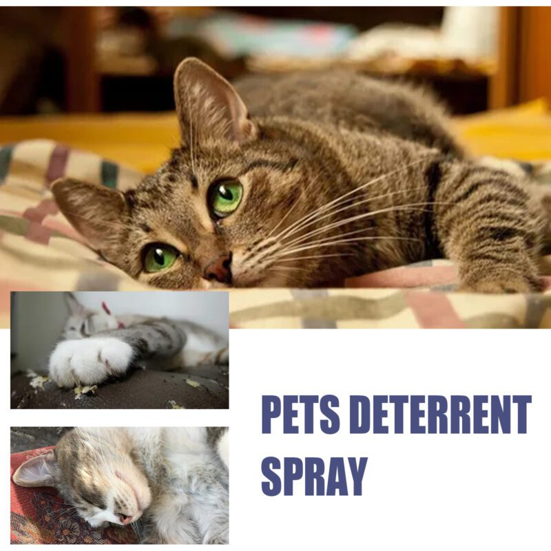 Yegbong Anti-Scratch Spray for Cats & Dogs - Furniture Deterrent to Prevent Scratching - Image 4