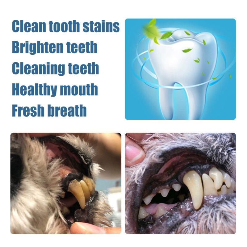 Yegbong Pet Tooth Beauty Pen for Dogs and Cats - Tartar Plaque Removal Dental Tool - Image 4
