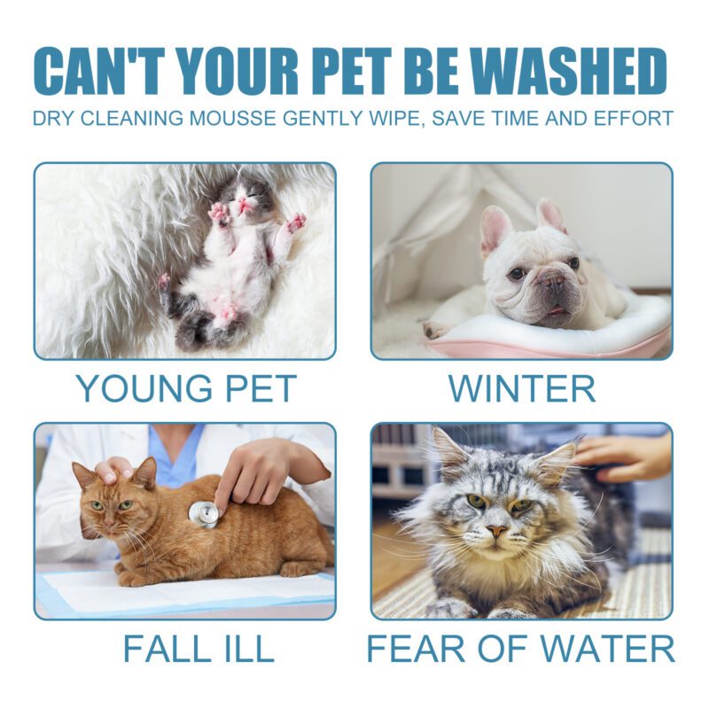 Yegbong Waterless Pet Dry Cleaning Mousse for Cats & Dogs - Deodorizing, Softens & Smooths Coat - Image 3
