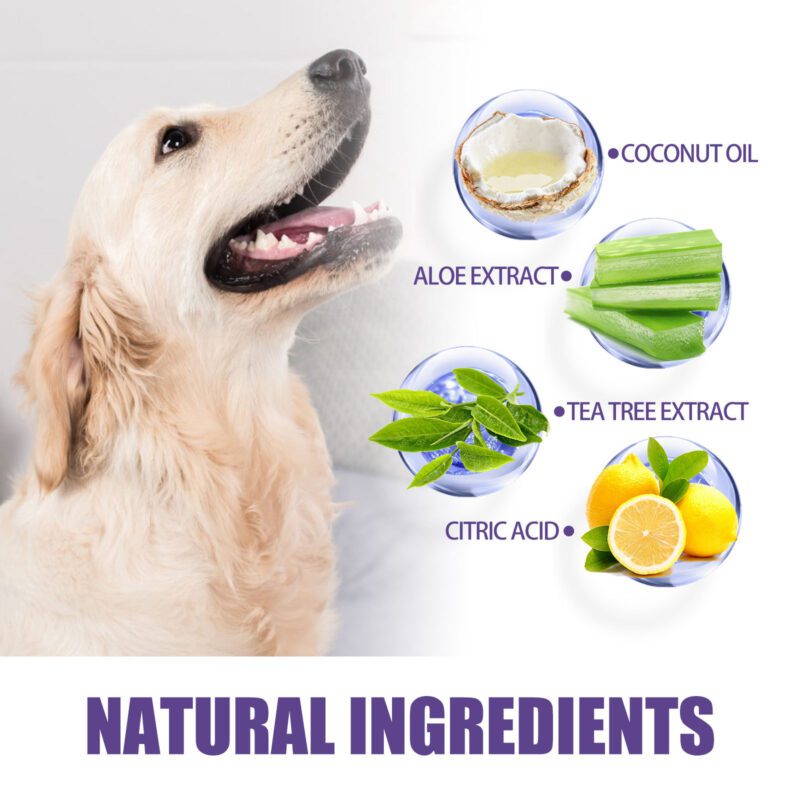 JAYSUING Pet Dental Cleaning Glove Wipes - Gentle Gum Care for Tartar Removal & Bad Breath - Image 5