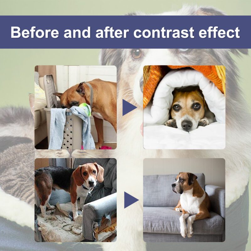 Yegbong Pet Bitter Spray - Stop Dog Chewing and Scratching Deterrent - Image 3