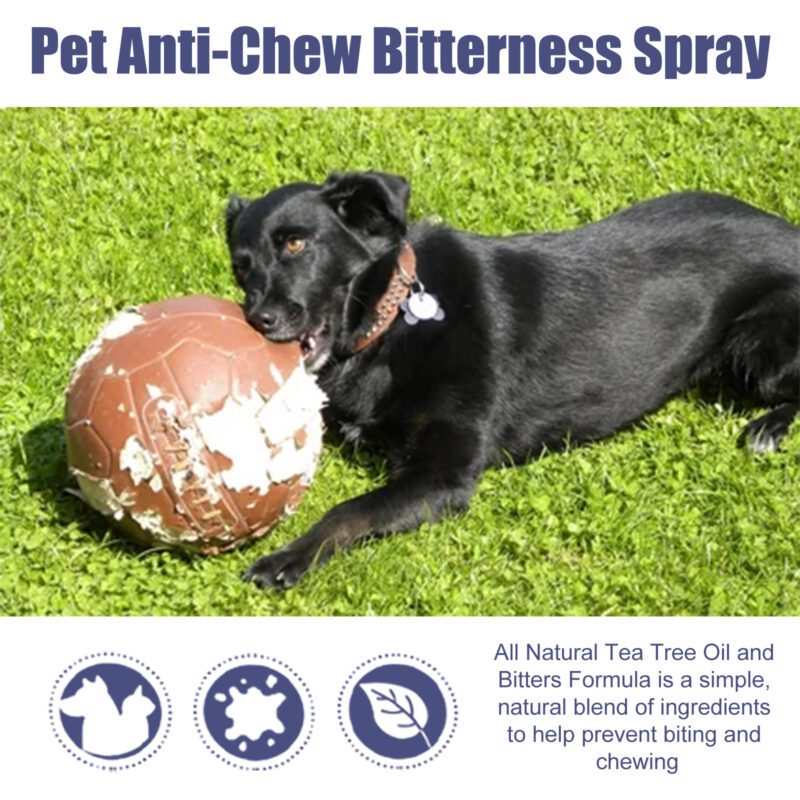 Yegbong Pet Bitter Spray - Stop Dog Chewing and Scratching Deterrent - Image 4