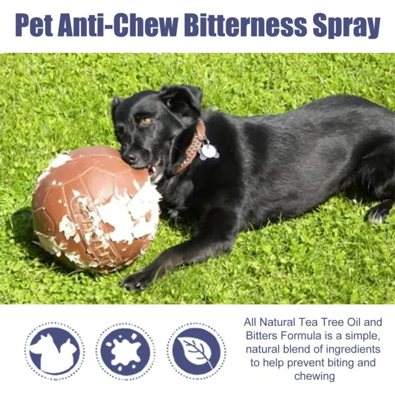 Yegbong Pet Bitter Spray - Stop Dog Chewing and Scratching Deterrent - Image 4
