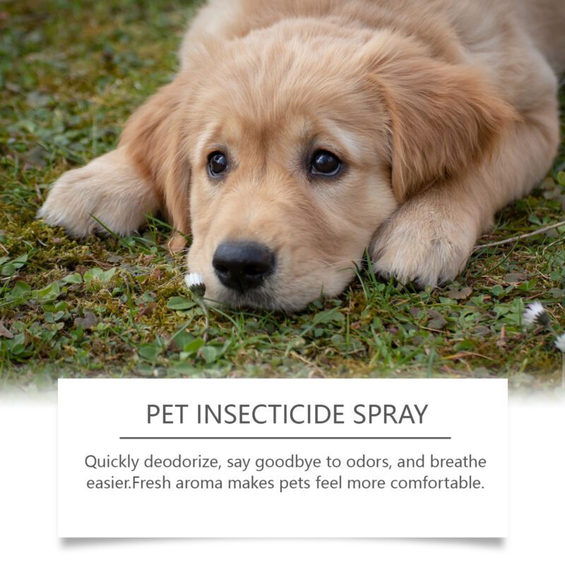 Yegbong Pet Deodorant Spray for Cats and Dogs - Odor Eliminating Spray - Image 4