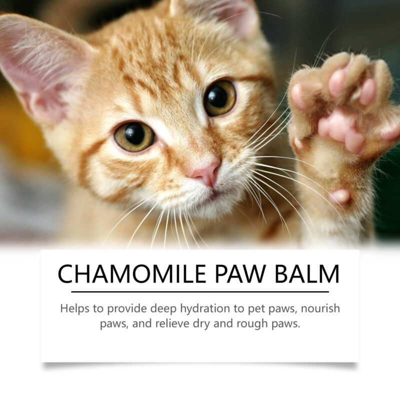 Yegbong Dog & Cat Claw Balm - Nourishing Moisturizer for Paw Pads - Image 4