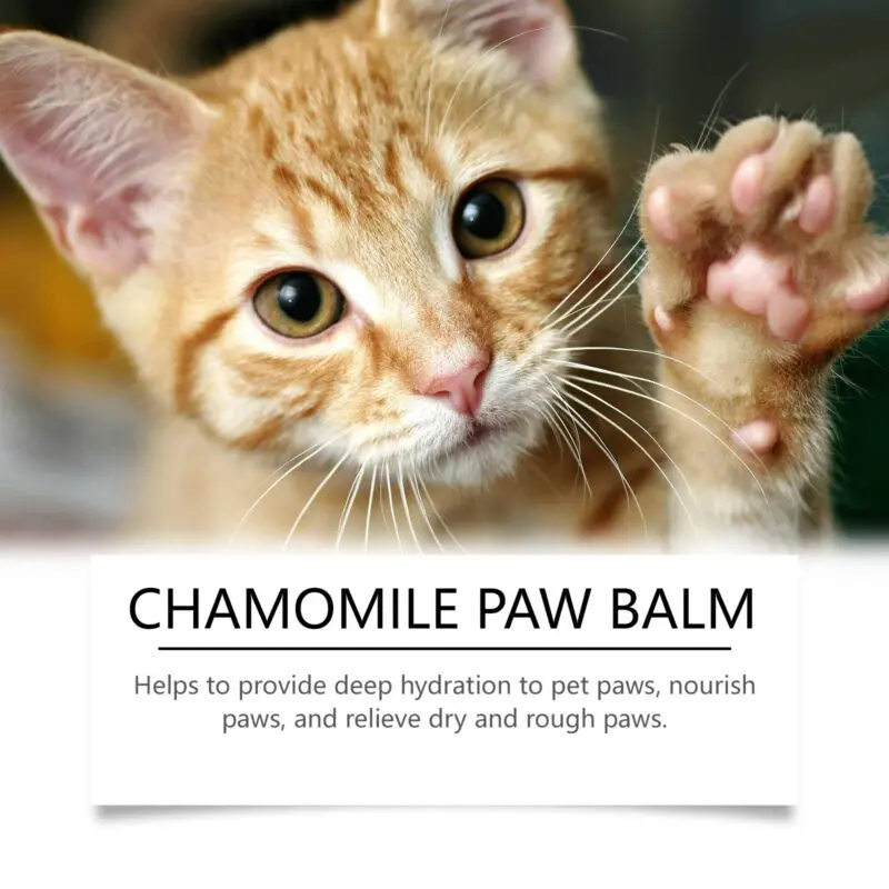 Yegbong Dog & Cat Claw Balm - Nourishing Moisturizer for Paw Pads - Image 4