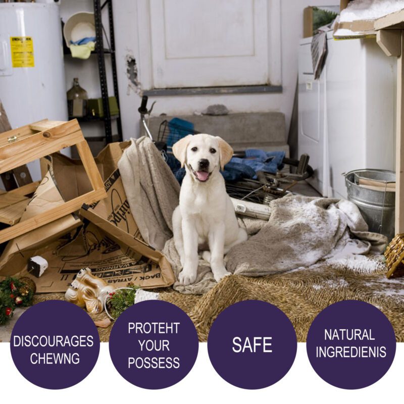 Yegbong Anti-Chewing Bitter Spray for Dogs & Pets - Deter Chewing and Scratching - Image 4