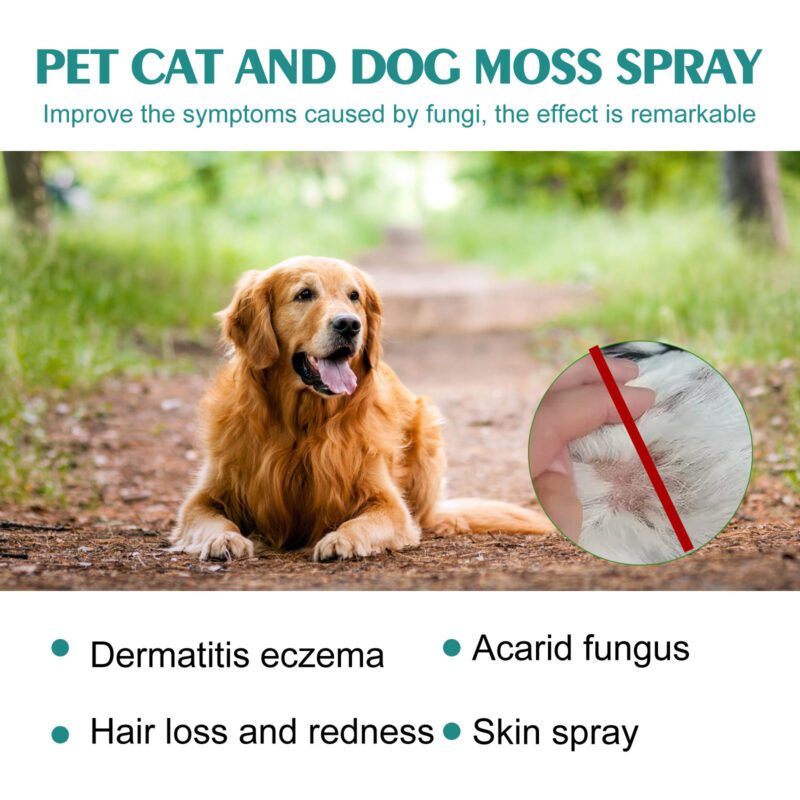 Yegbong Pet Skin Care Spray for Cats & Dogs - Soothe Itchy Skin and Redness - Image 3