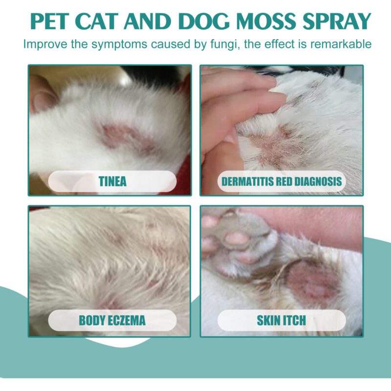 Yegbong Pet Skin Care Spray for Cats & Dogs - Soothe Itchy Skin and Redness - Image 4