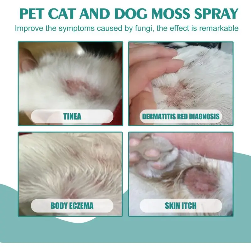 Yegbong Pet Skin Care Spray for Cats & Dogs - Soothe Itchy Skin and Redness - Image 4