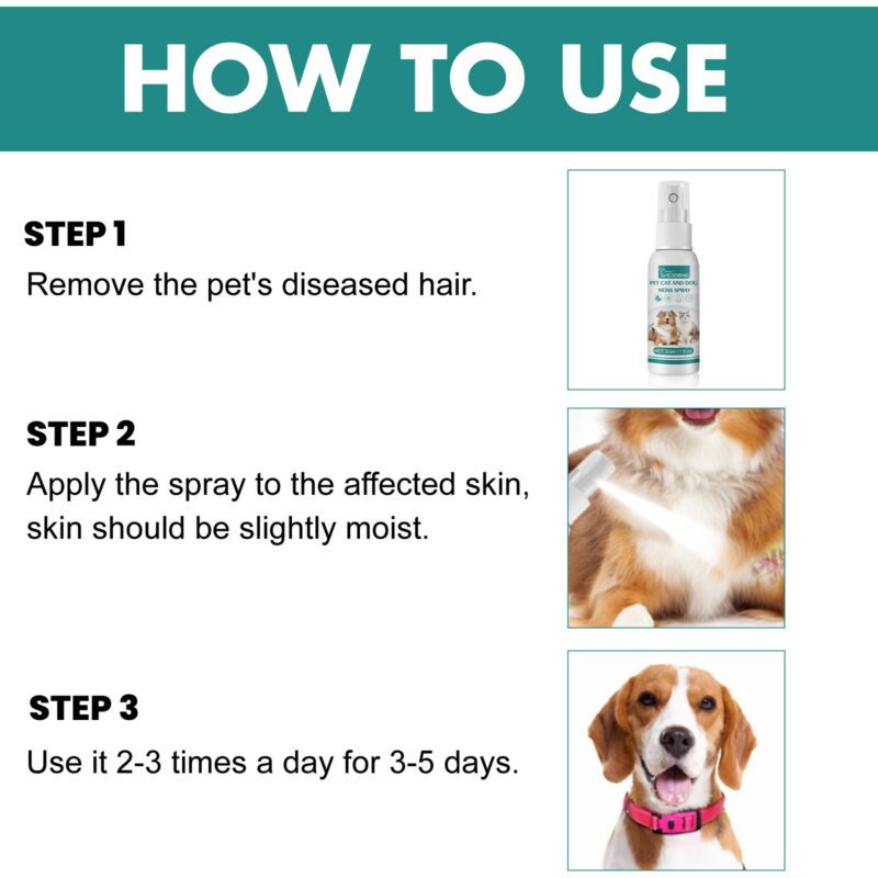 Yegbong Pet Skin Care Spray for Cats & Dogs - Soothe Itchy Skin and Redness - Image 6