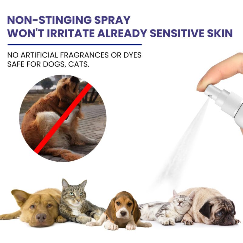 Yegbong Pet Anti-Itch Spray - Soothing Skin & Fur Cleaner with Anti-Mite Formula - Image 3