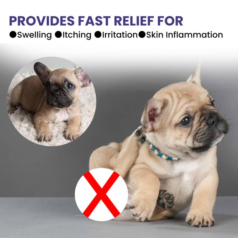 Yegbong Pet Anti-Itch Spray - Soothing Skin & Fur Cleaner with Anti-Mite Formula - Image 4