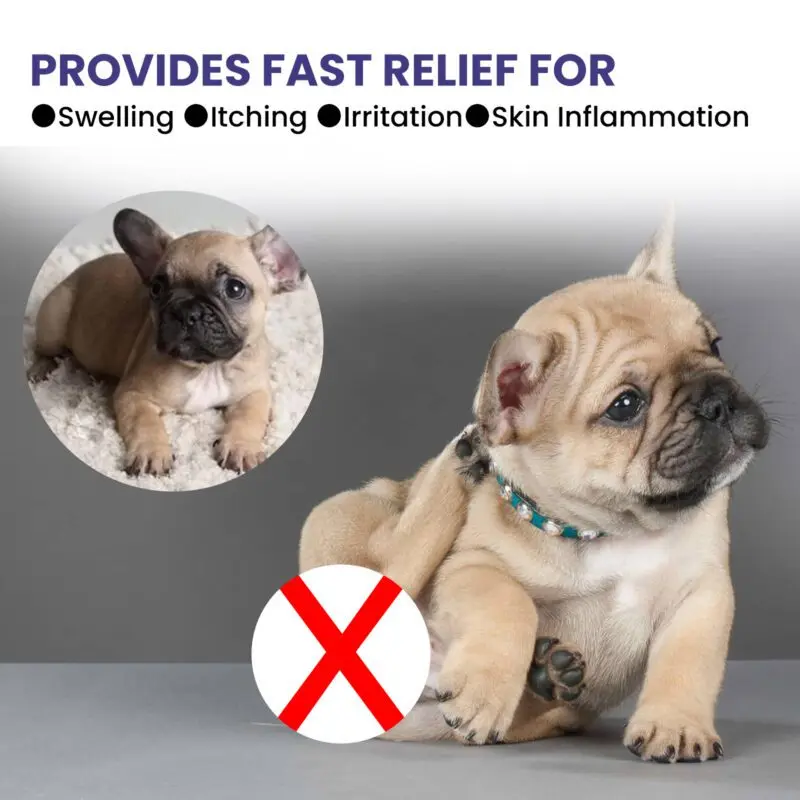 Yegbong Pet Anti-Itch Spray - Soothing Skin & Fur Cleaner with Anti-Mite Formula - Image 4