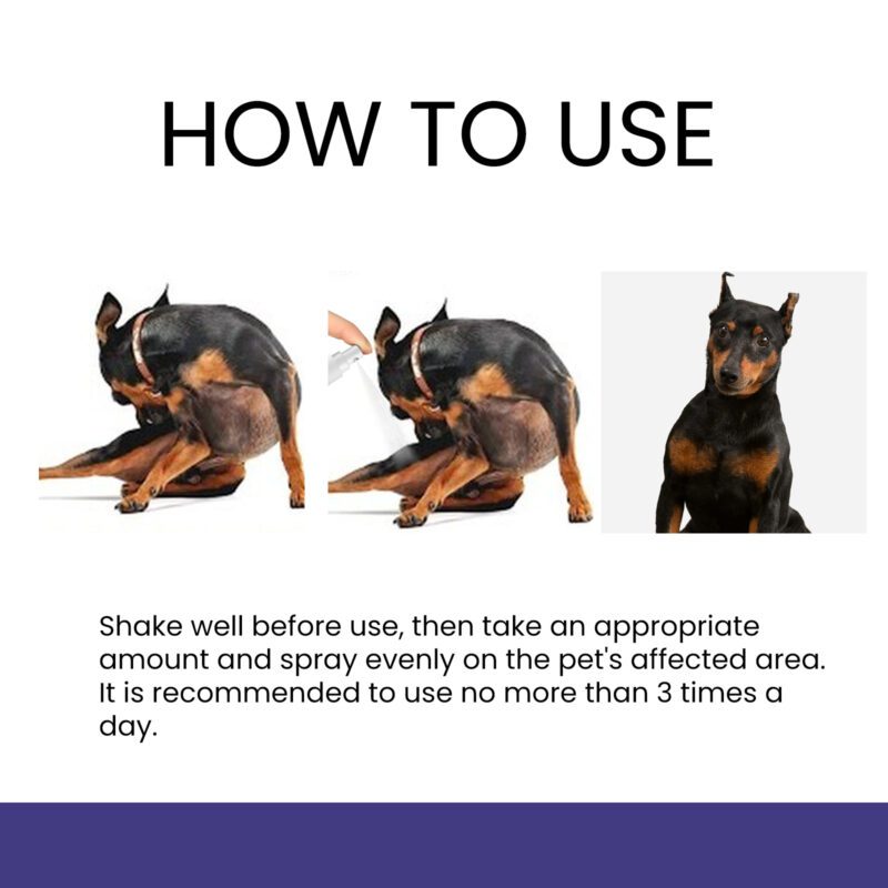 Yegbong Pet Anti-Itch Spray - Soothing Skin & Fur Cleaner with Anti-Mite Formula - Image 6