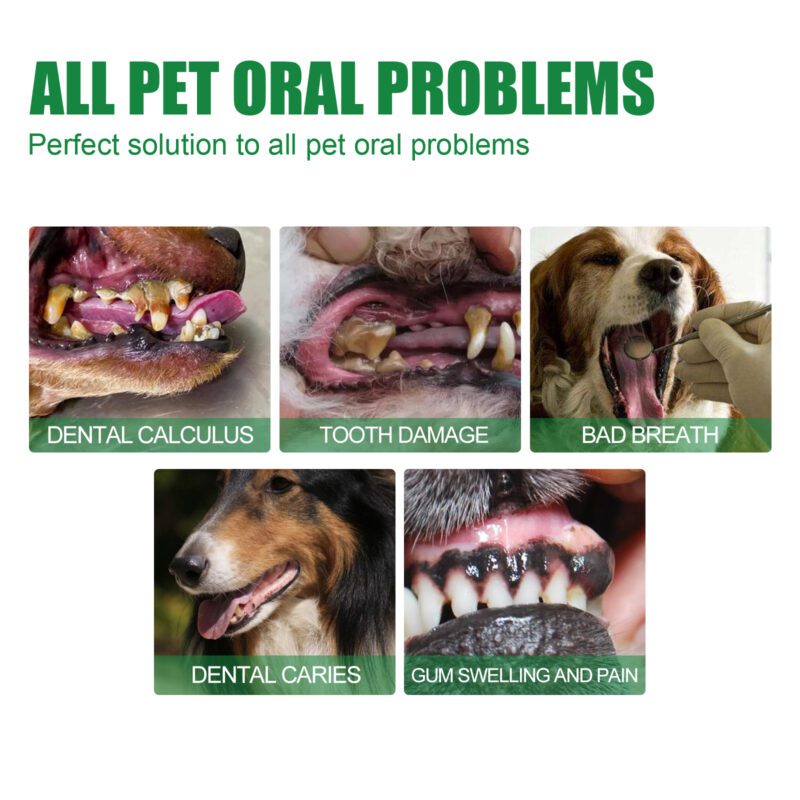 Yegbong Oral Deodorizing Spray for Cats and Dogs - Teeth Cleaning and Fresh Breath - Image 4