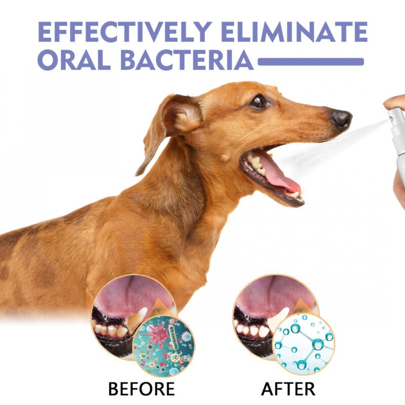 Yegbong Tooth Cleaning Spray for Cats and Dogs: Remove Stains & Freshen Breath - Image 3