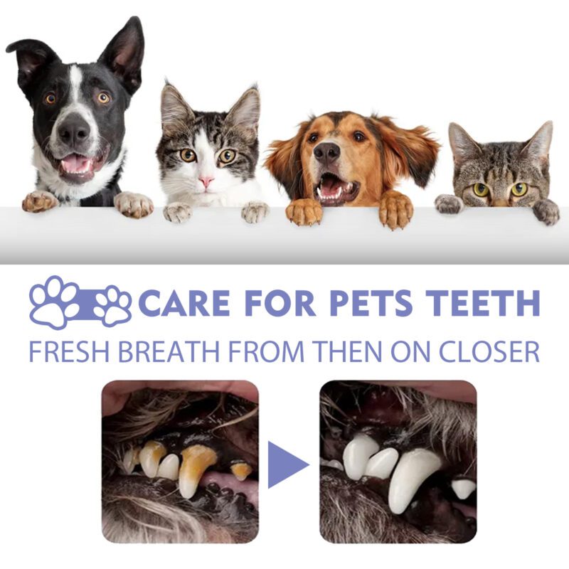 Yegbong Tooth Cleaning Spray for Cats and Dogs: Remove Stains & Freshen Breath - Image 4