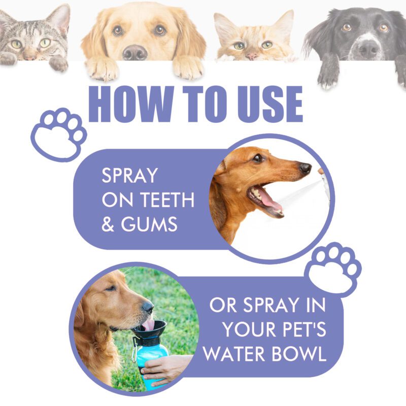 Yegbong Tooth Cleaning Spray for Cats and Dogs: Remove Stains & Freshen Breath - Image 6