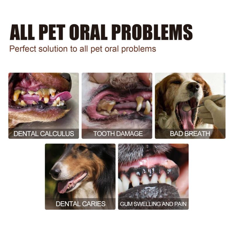 Yegbong Pet Tooth Cleaning Spray for Cats & Dogs - Tartar & Stain Remover, Bad Breath Solution - Image 3