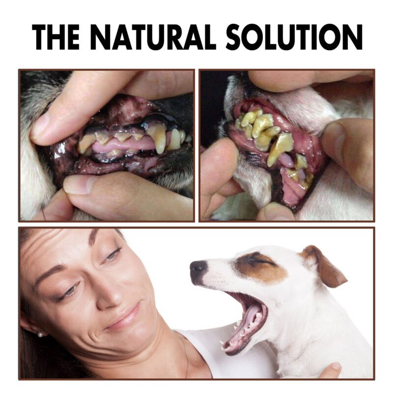 Yegbong Pet Tooth Cleaning Spray for Cats & Dogs - Tartar & Stain Remover, Bad Breath Solution - Image 4