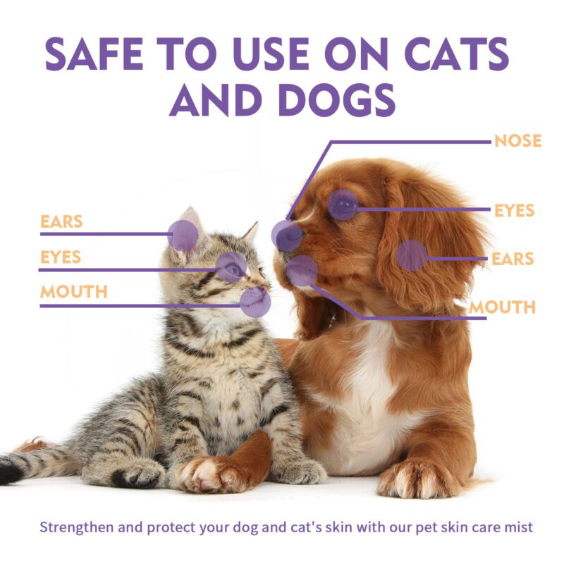 Yegbong Pet Skin Relief Spray for Dogs & Cats - Anti-Itch Soothing Spray, Gentle Cleaning & Care - Image 3