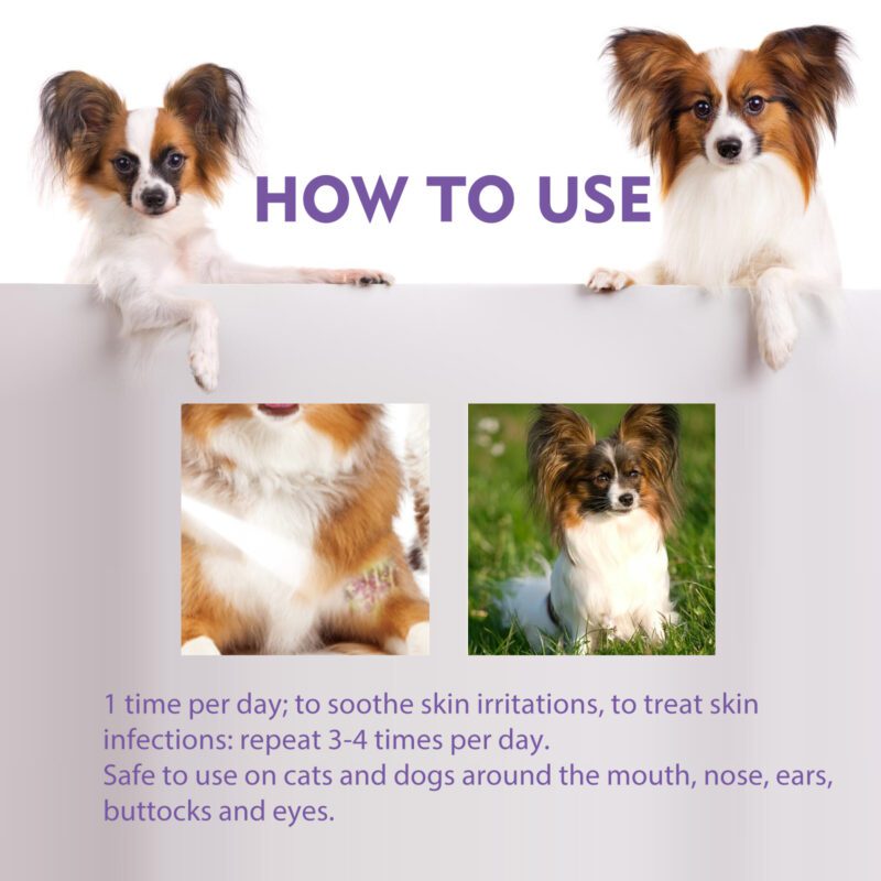 Yegbong Pet Skin Relief Spray for Dogs & Cats - Anti-Itch Soothing Spray, Gentle Cleaning & Care - Image 6