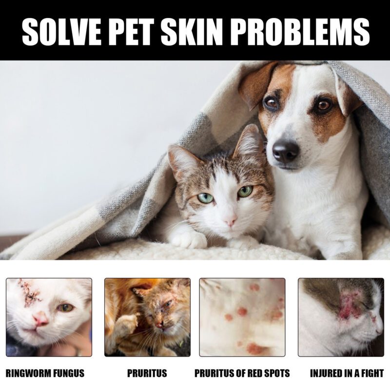 Yegbong Cat Ringworm Spray - Anti-Mite Anti-Itch Skin Care for Cats - Image 3