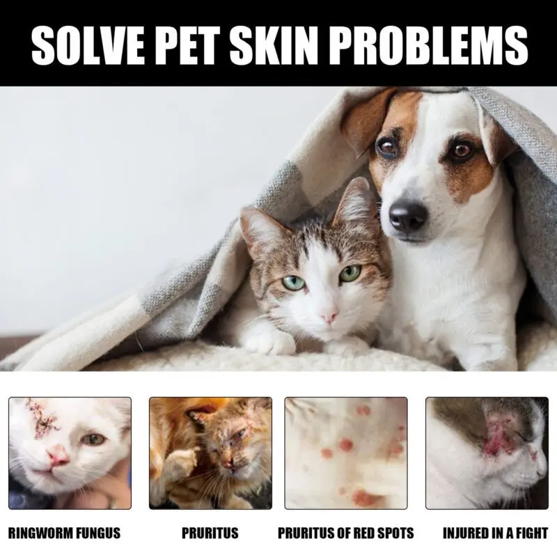 Yegbong Cat Ringworm Spray - Anti-Mite Anti-Itch Skin Care for Cats - Image 3