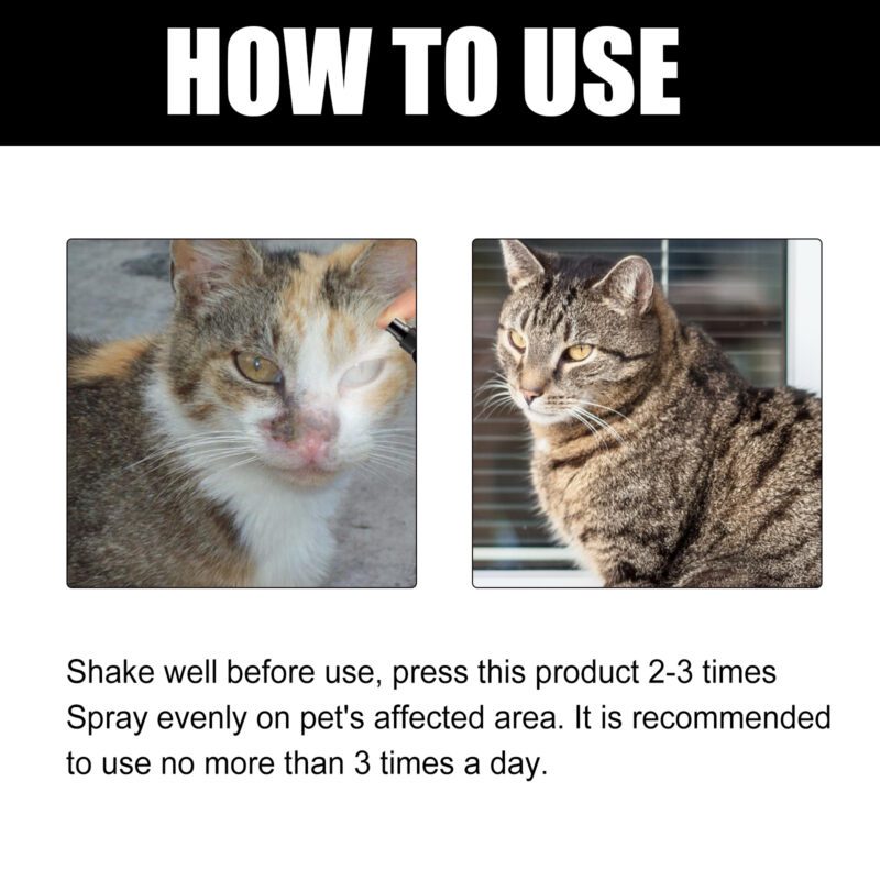 Yegbong Cat Ringworm Spray - Anti-Mite Anti-Itch Skin Care for Cats - Image 6