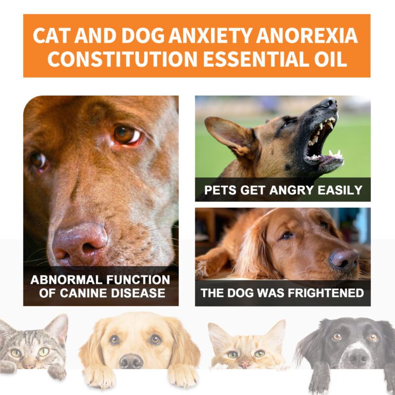 Yegbong Pet Calming Essential Oil Blend for Cats and Dogs - Bitter Orange and Mint - Image 3